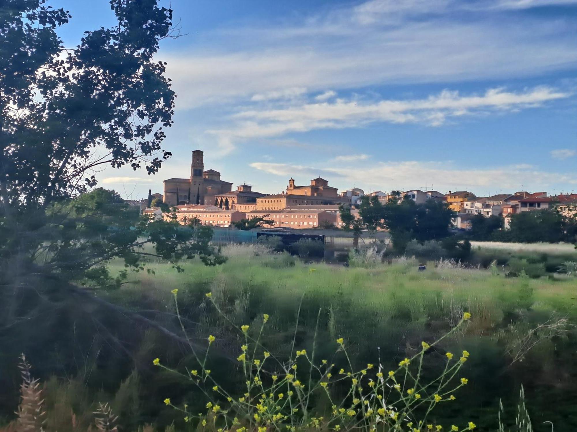 Apartamento Rural Isla Esencia De Bardenas Navarra Villafranca Екстер'єр фото