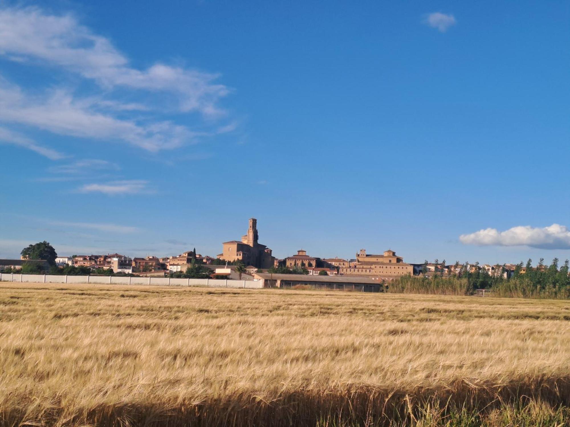 Apartamento Rural Isla Esencia De Bardenas Navarra Villafranca Екстер'єр фото